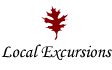 Local Excursions