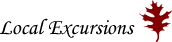 Local Excursions