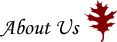 About Us