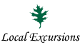 Local Excursions